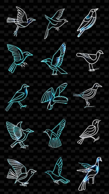 PSD a set of birds on a transparent background