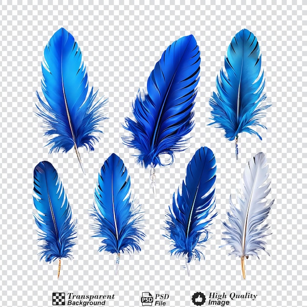 PSD set of blue feathers isolated on transparent background