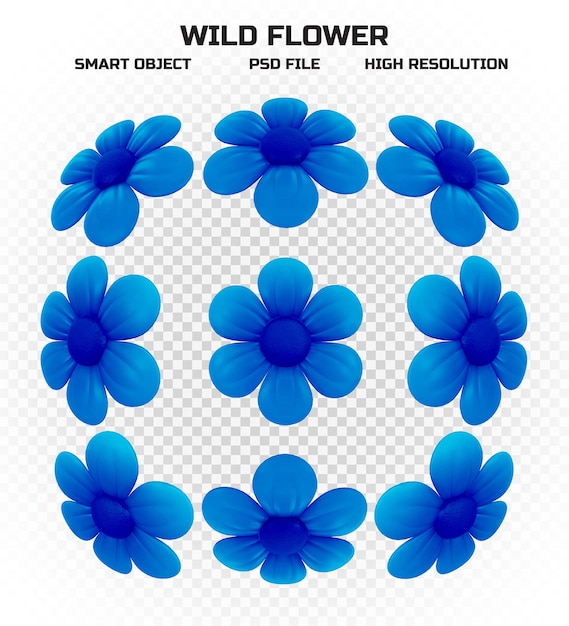 PSD set di fiori selvatici blu in alta risoluzione per la decorazione