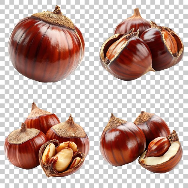 Set of chestnuts isolated on transparent background