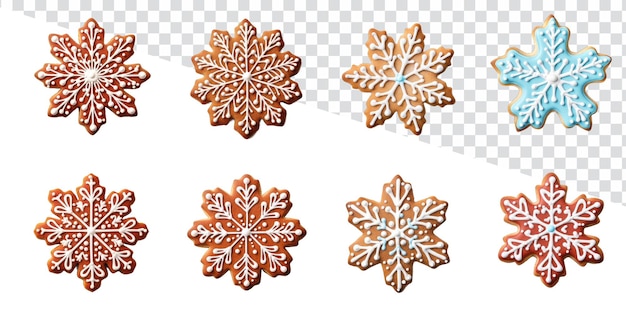 Set of Christmas Cute Snowflake Sugar Cookie