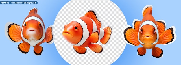 Set of clown fish colored in orange and white