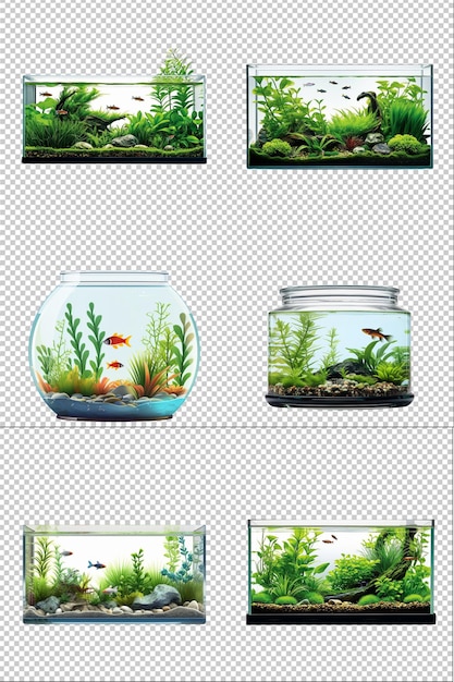 Set collection aquarium artificial intelligence generative