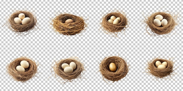 Set collection bird nest artificial intelligence generative