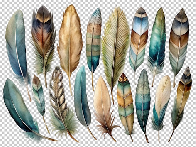 PSD set of colorful watercolor feathers