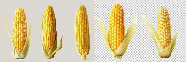 PSD set of corn isolated on transparent background