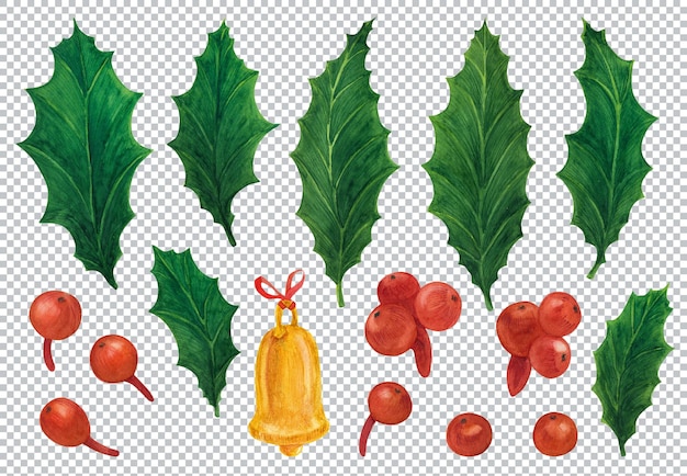 PSD set of decorative christmas holly elements. watercolor graphic elements, layered illustration