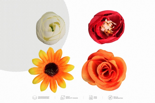 PSD set of different beautiful flowers on transparent background