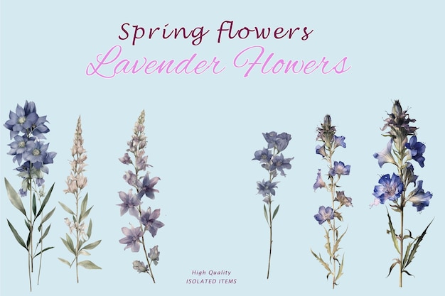 A set of different flowers on a blue background with the title spring flowers.