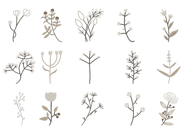 PSD a set of flowers and leaves collection psd template