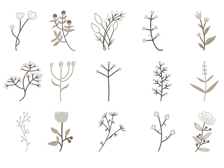 PSD 花と葉のコレクションのセット psd テンプレート