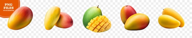 Set of fresh mangoes on transparent background