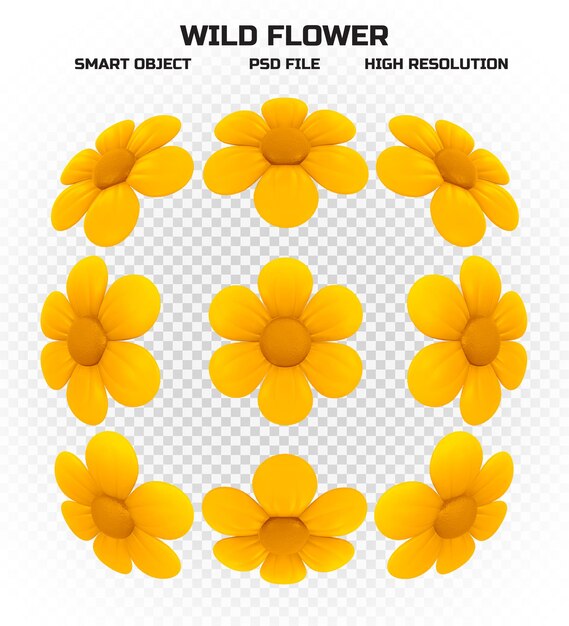 PSD set gele wilde bloemen in hoge resolutie voor decoratie
