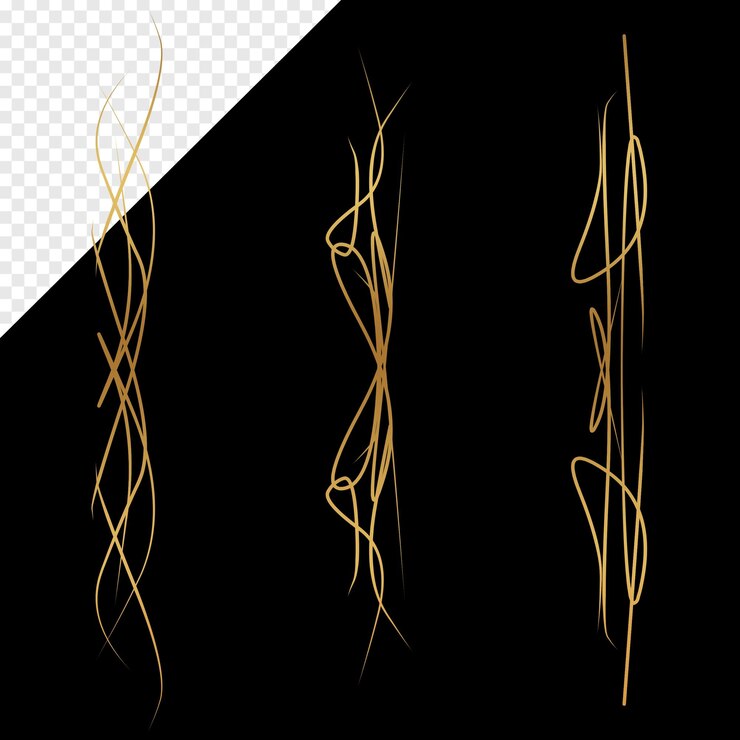 PSD set of golden borders line decoration element psd file transparent background