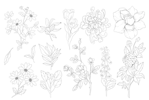 PSD set of hand drawn flowers and roses