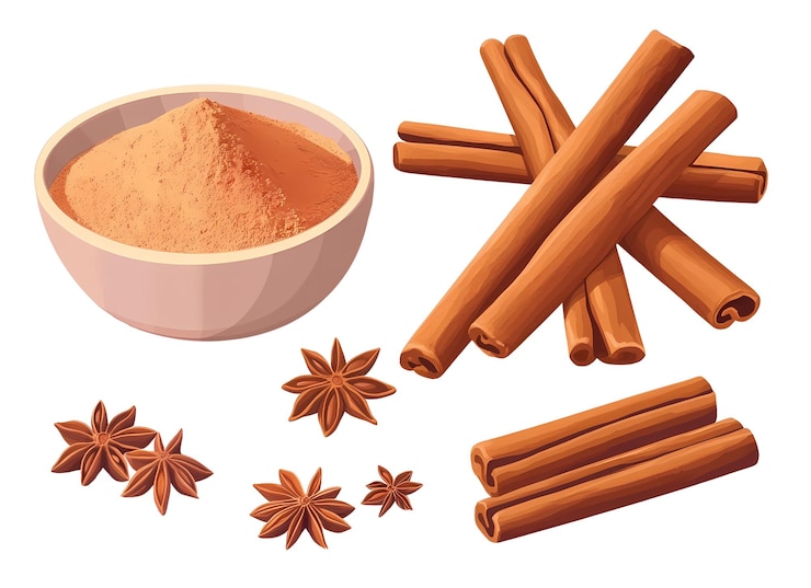 PSD set of illustrations with aromatic cinnamon sticks and star anise with seeds on a white background