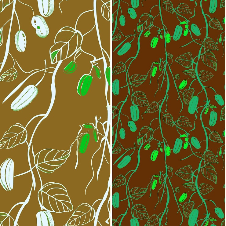 PSD a set of images of plants and leaves