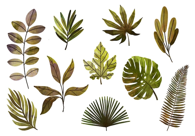 PSD set of leaves