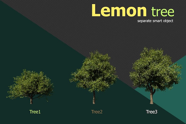 Set of lemon tree transparent background