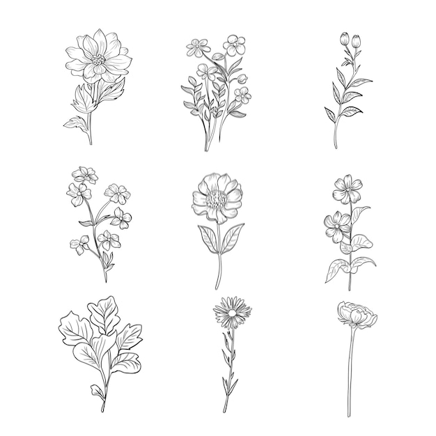 Set met met de hand getekende florale decoratieve elementen
