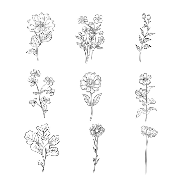 PSD set met met de hand getekende florale decoratieve elementen