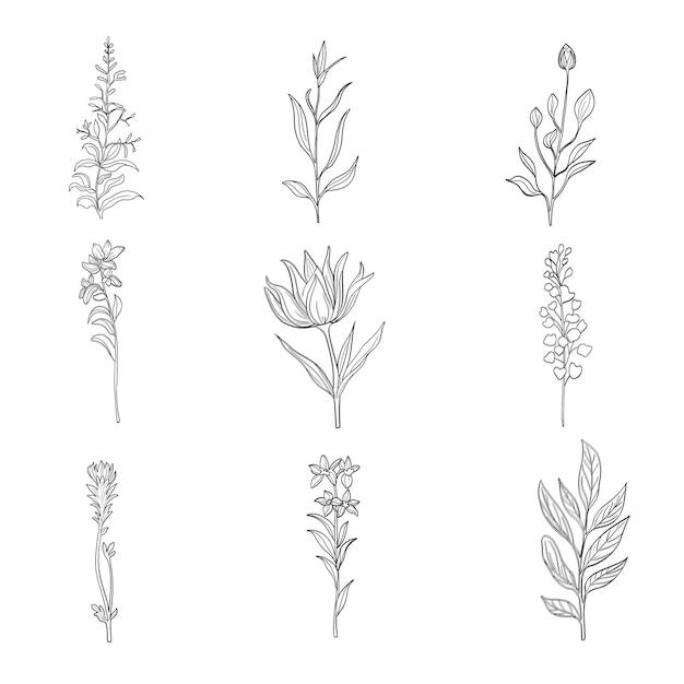 Set met met de hand getekende florale decoratieve elementen