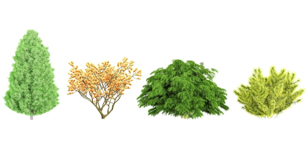 set of neem lemon cypresssea buckthorns christmas trees on transparent background 3d rendering