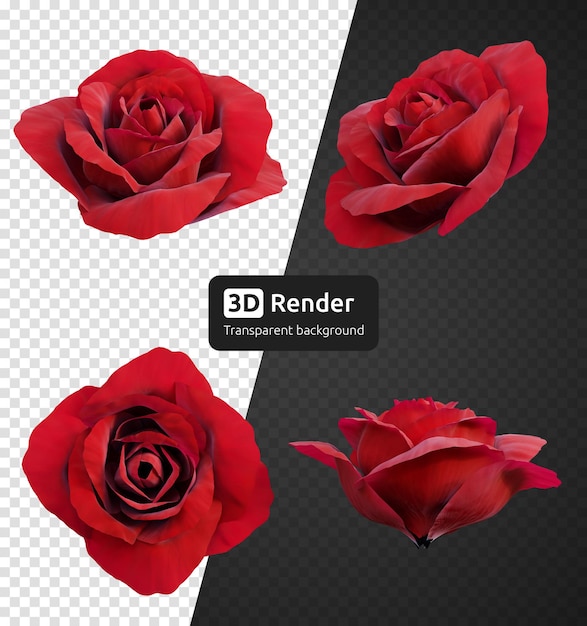 PSD 分離された赤いバラの花のつぼみ 3 d レンダリングのセット