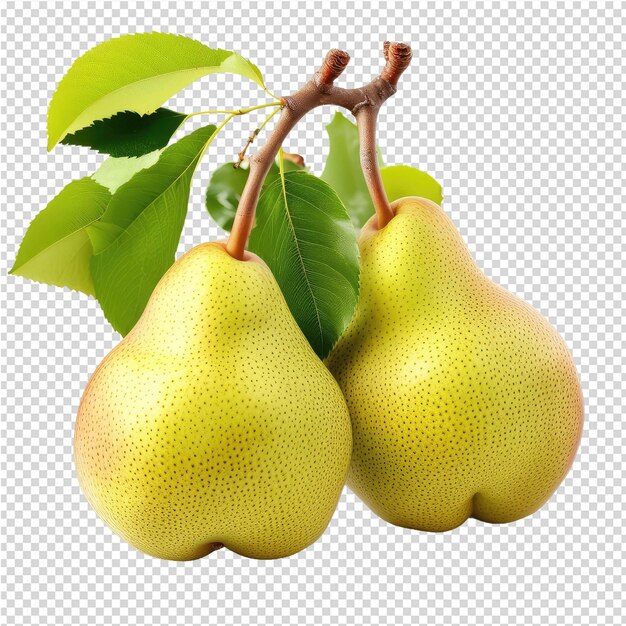 A set of pears with green leaves and a leaf