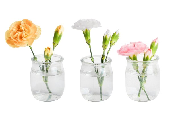 PSD a set of pink yellow and white flowers in small vases or jars on a blank background