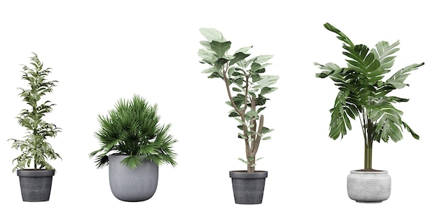 a set of plants in pots with the word x on them