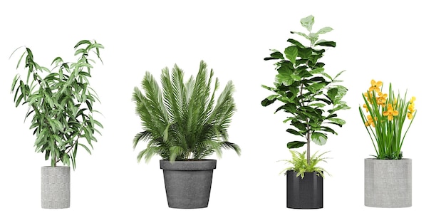 Un insieme di piante in vaso con la scritta verde in alto