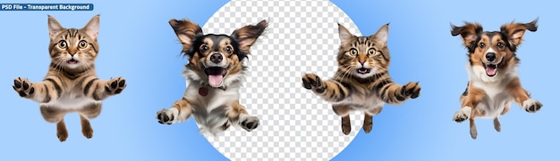 PSD set of playing and jumping pets dogs jumping and cats playfully leaping