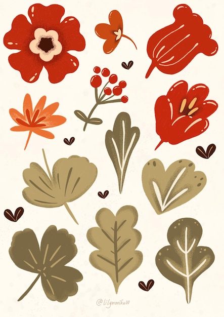 PSD set of rad floral pattern illustration