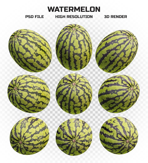 Set of realistic 3d render watermelon in high resolution with many perspectives