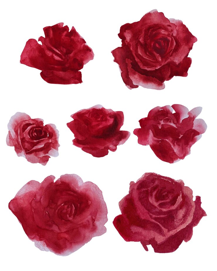 PSD a set of red roses watercolor painting