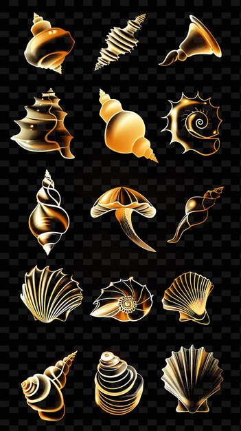PSD a set of sea shells and shells on a black background