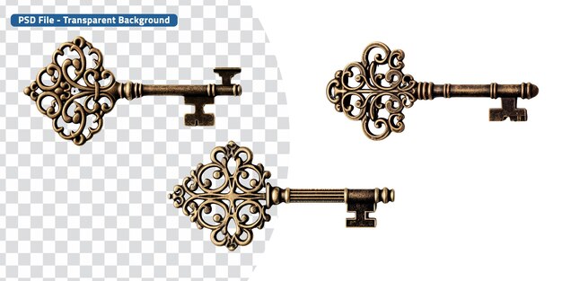 PSD set of skeleton key