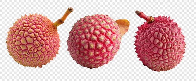 PSD set of three fresh lychee fruit on transparent background