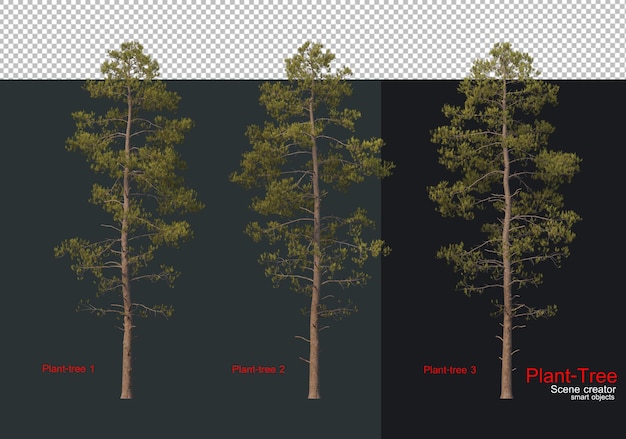 PSD a set of trees with the text 