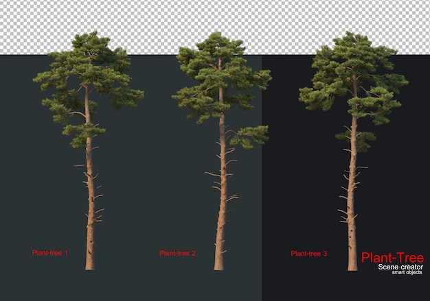 PSD a set of trees with the text 