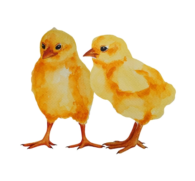 Set of two cute watercolor easter chicks