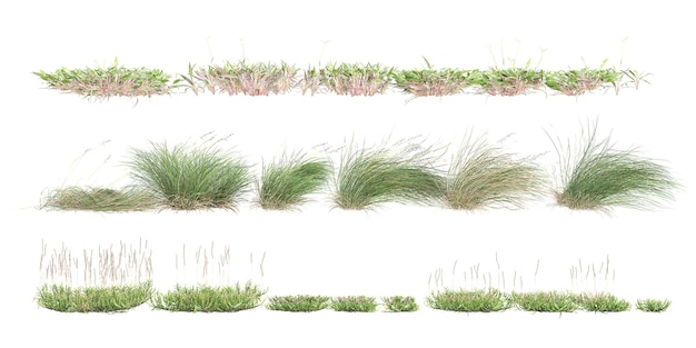 set van gras en struik met alpha mask 3d rendering voor digitale compositie