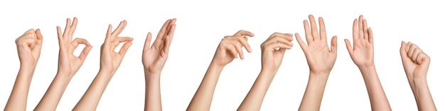 Set vrouwelijke handen in verschillende poses op een lege achtergrond.
