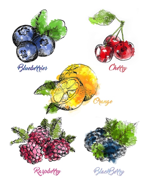 PSD set of watercolor berries