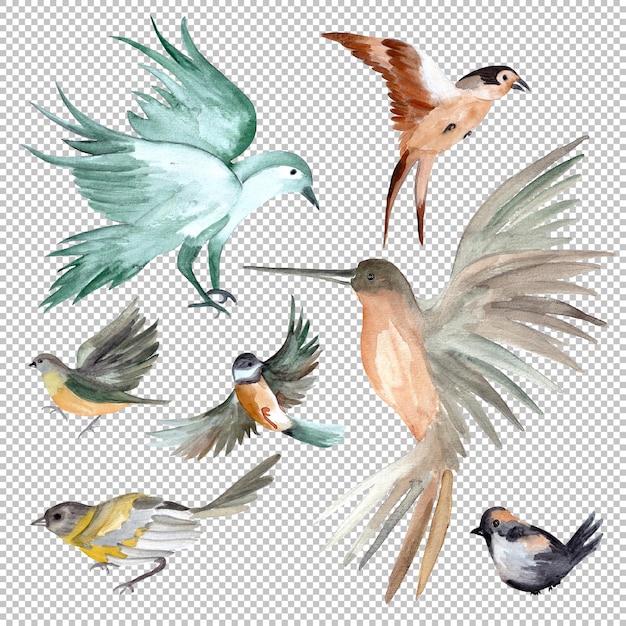 PSD set of watercolor birds illustration