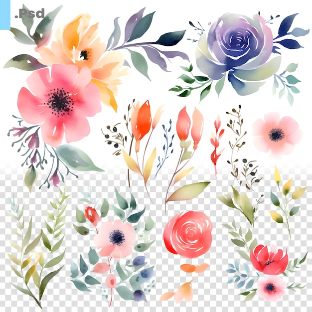 PSD set of watercolor flowers. handmade. illustration for your design. psd template