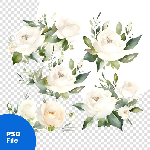 PSD set di rose bianche ad acquerello e foglie verdi isolate su sfondo bianco modello psd