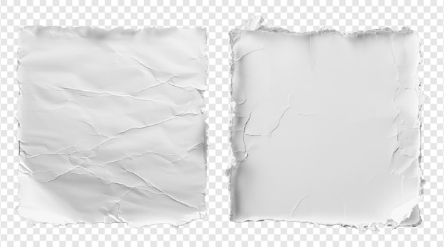PSD set of white abstract torn paper texture
