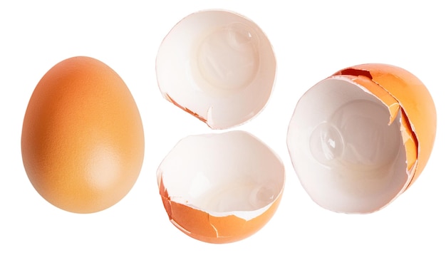 set whole egg and shell on a blank background